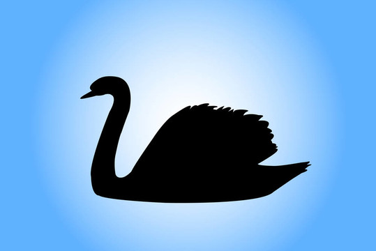 天鵝