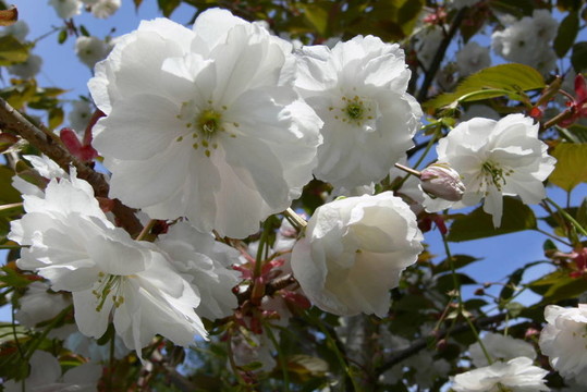 面朝大海,春暖花開