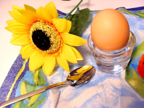sunflower2.jpg