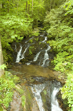 jw_037_006_05