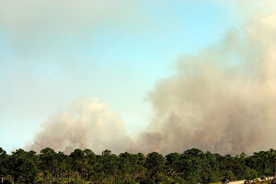 wildfire1