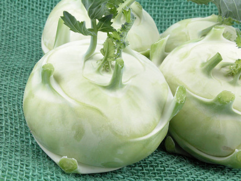 大頭菜