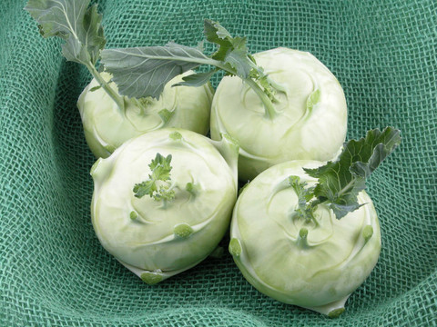 大頭菜