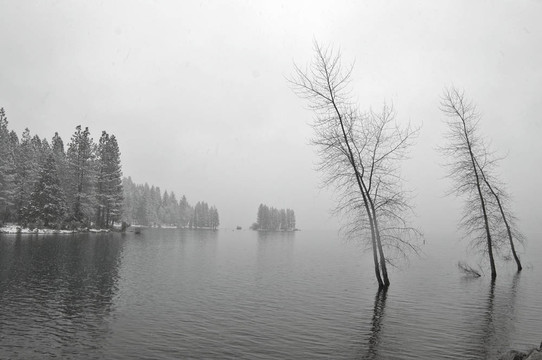 雪白的湖岸