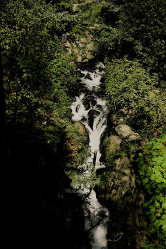 Canyon黑