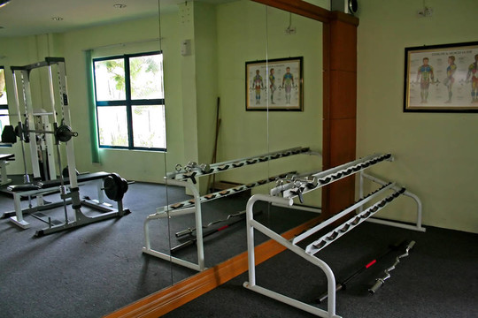freeweights架
