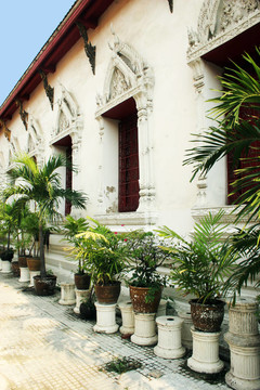 曼谷泰國寺