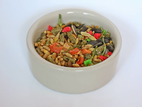 嚙齒類動(dòng)物的食物