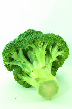 花椰菜束；分離