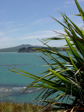 朗伊托托島