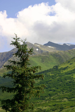 阿拉斯加山