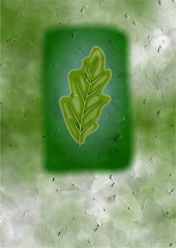 橡樹葉卡