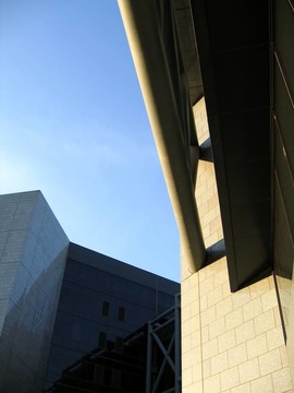 大公司的結(jié)構(gòu)