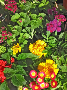 花