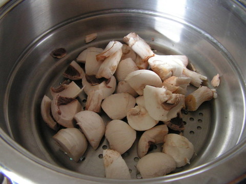 蘑菇
