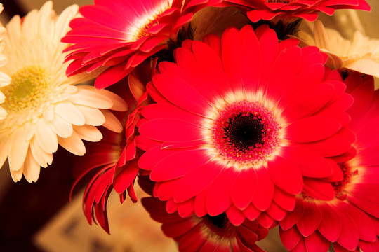 花7