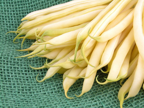 菜豆