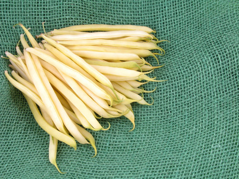 菜豆