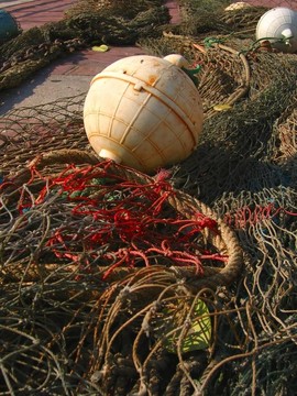 商業(yè)捕魚網(wǎng)