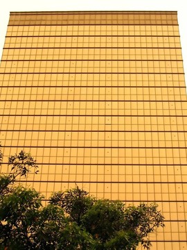 黃金門面