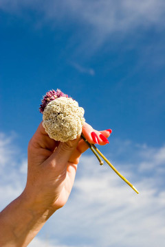 花