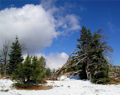 mineret Vista