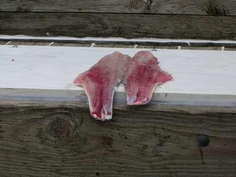 魚片