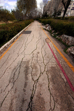 舊路