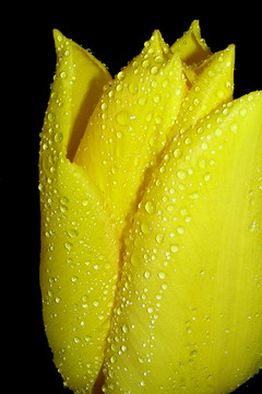 raindrops-3