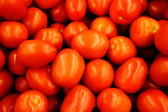 Roma的西紅柿