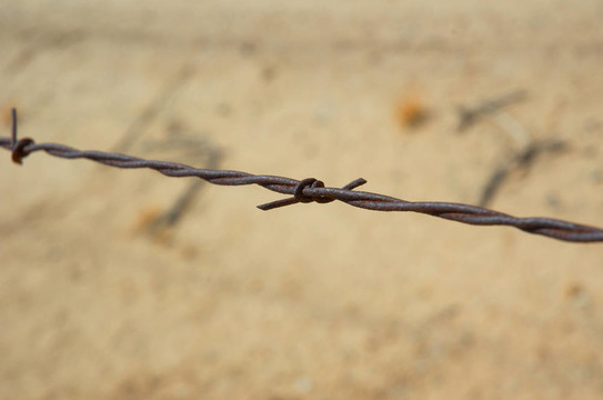 鐵絲網(wǎng)圍欄