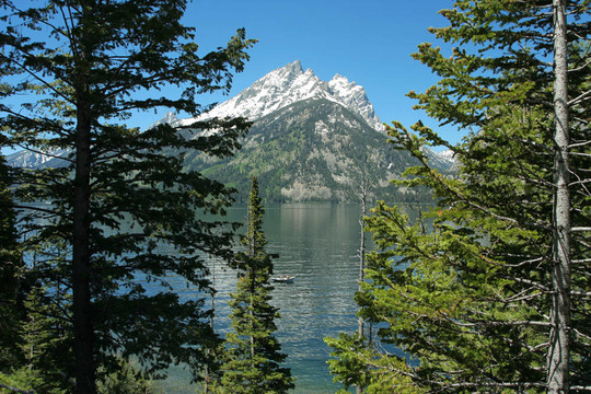 Jenny Lake；Tetons