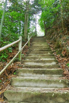 木坑竹海 階梯