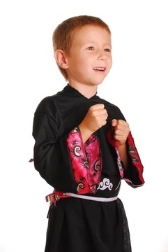 Karate Kid 28