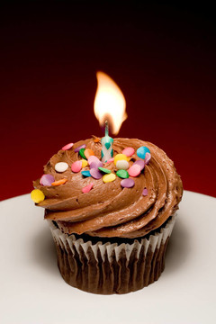 Cupcake II生日