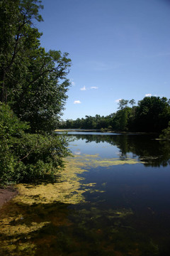 Pond III