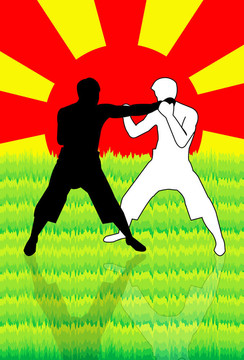 武術(shù)