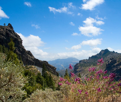 山