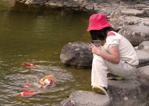 孩子喂五顏六色的鯉魚