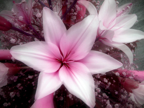 花