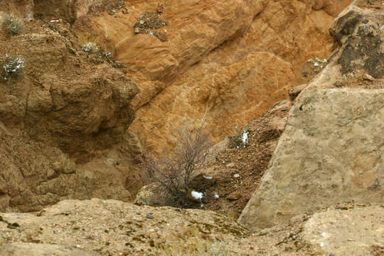 小Canyon