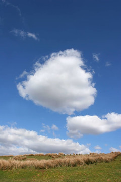 荒野