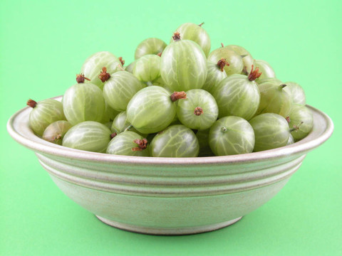 醋栗