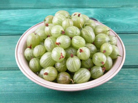 醋栗