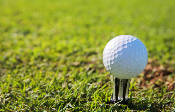 Golfer 46