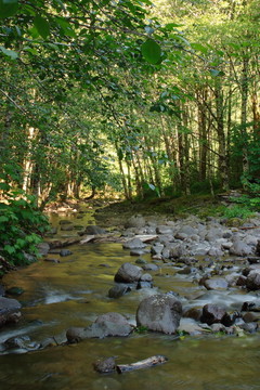 埃爾克河