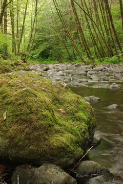 埃爾克河