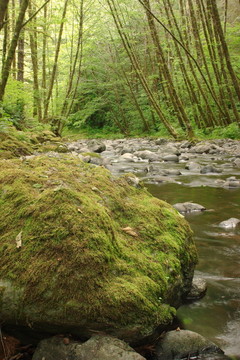 埃爾克河