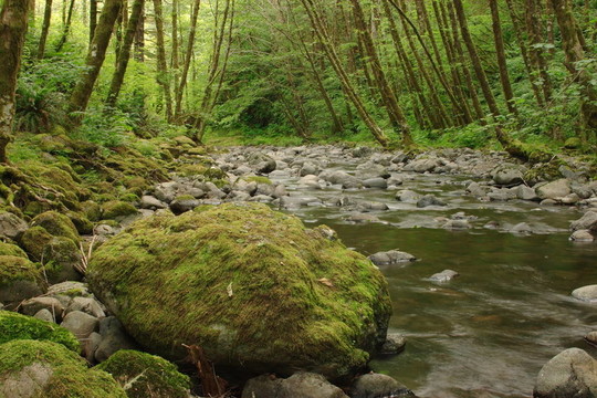 埃爾克河