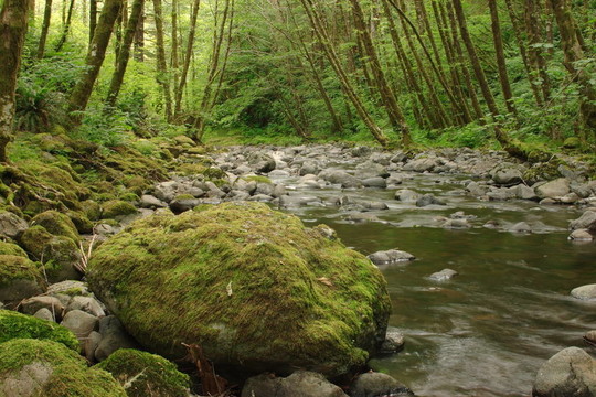 埃爾克河